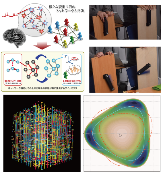 （左上）様々な現実世界のネットワーク力学系、（右上）二重振り子における初期値鋭敏性、（左下）量子モンテカルロアルゴリズムのイメージ、（右下）２次元ラチェットモデルのポテンシャル